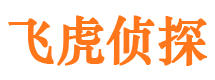 林西侦探公司